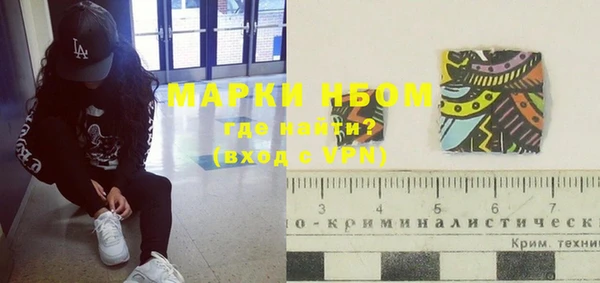 гашик Алексин