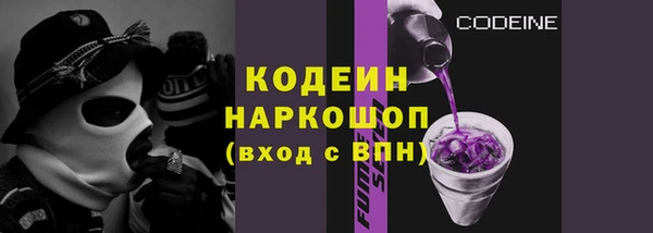 гашик Алексин